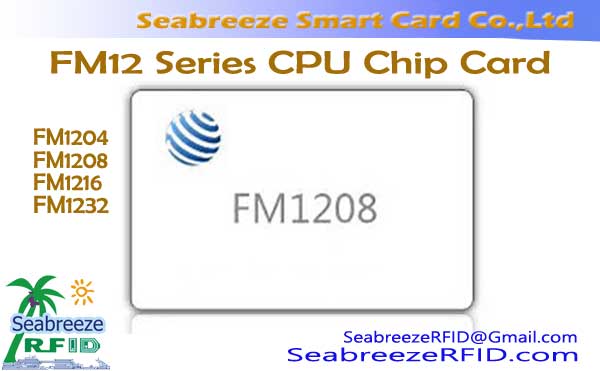 Title Card Chip FM12 CPU, Card FM1208 CPU, Card FM1216 CPU, Card FM1232 CPU
