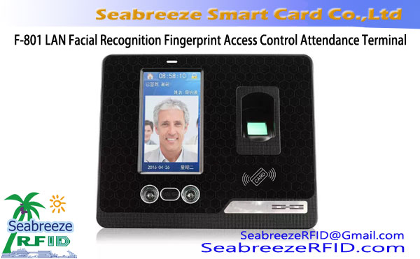 F-801 LAN Facial Recognition Fingerprint Access Control Attendance Terminal