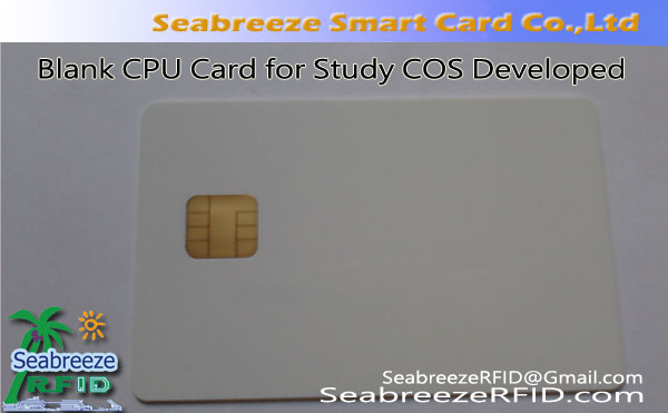 Disce blank CPU Card pro cos Development