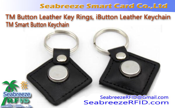 TM Button Leather Rings Allweddol, iButton Leather Keychain, TM Smart Keychain Button