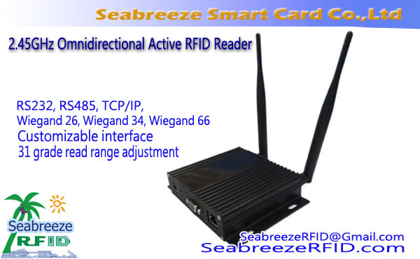 2.45GHz omnidireccional lector de RFID activa con la comunicación TCP / IP