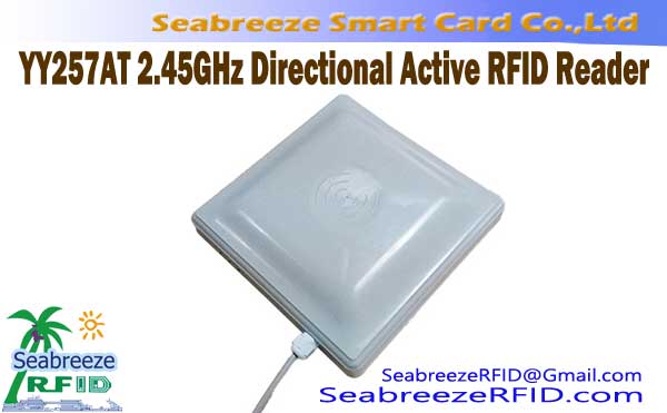 YY257AT 2,45 GHz direccional lector de RFID activa