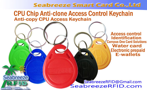 Anti-clone CPU Access Keychain, CPU Chip Anti-clone Access Control Keychain