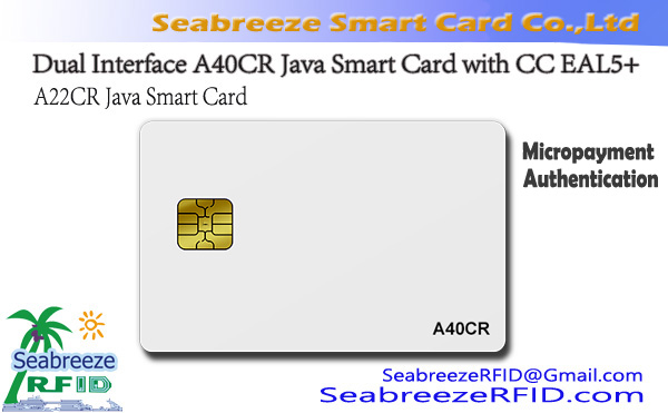 Java Card Micropayment & Solutions authenticas