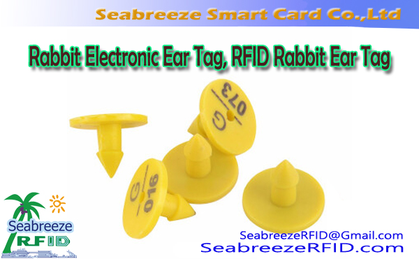 Sungura Electronic Ear Tag, RFID Rabbit Ear Tag