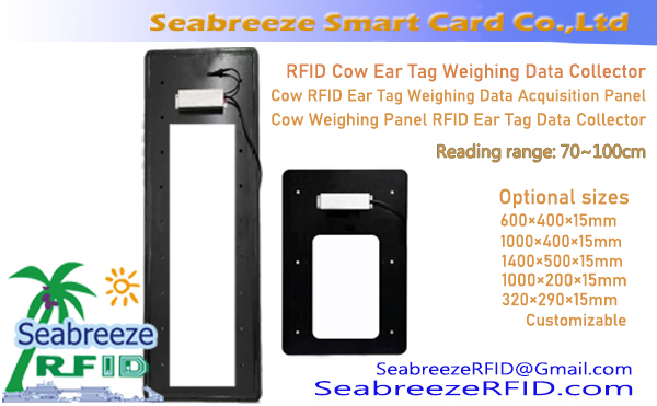 RFID Cow Ear Tag Weighing Data Collector, Baka RFID Ear Tag Timbang Data Acquisition Panel, Cow Weighing Panel RFID Ear Tag Data Collector