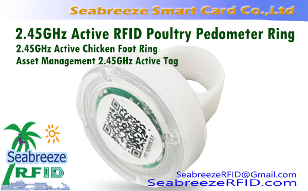 2.45Anel pedômetro de aves RFID ativo GHz, 2.4Anel ativo para pés de galinha em GHz, Etiqueta ativa de gerenciamento de ativos de 2,45 GHz